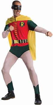 Image result for Robin Costume Adult