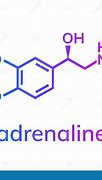Image result for adrenalinq