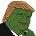 Image result for Pepe Frog Soldier