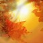 Image result for Cute Fall Phone Backgrounds