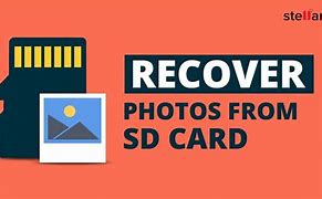Image result for SD Memory Card Format