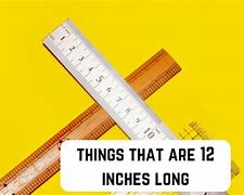 Image result for Things That Are12 by 4 Inch