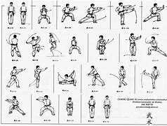 Image result for Wushu Kung Fu Stances