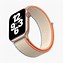 Image result for Apple Watch SE صور