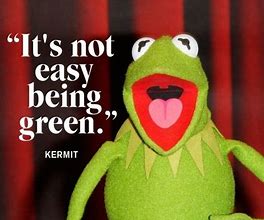 Image result for Funny Kermit Quotes