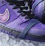 Image result for Nike Dunk Concepts