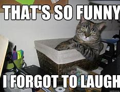 Image result for Forgot Funny Pic