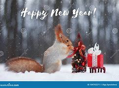Image result for Happy New Year Squirrel