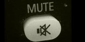 Image result for Pink Mute Button