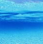 Image result for Ocean Underwater Nerinia Background