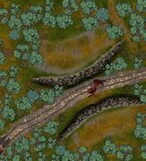 Image result for Lost Mines of Phandelver Goblin Ambush Map