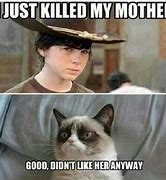 Image result for Cat Walking Dead Memes