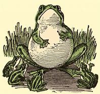 Image result for Sad Toad and Frog