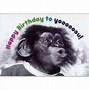 Image result for Friend Birthday E-cards Funny