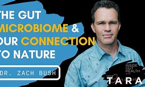 Image result for Biome Zack Bush