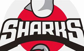 Image result for Made Up Basketball Team Logos