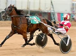 Image result for Harness Horse Racing