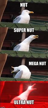 Image result for Mega Nut Meme