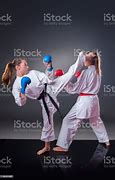 Image result for Karate Pics
