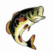 Image result for Seas Bass Fish Clip Art