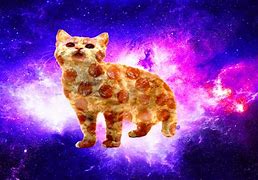 Image result for Space Glasses Cat