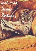 Image result for animated cats birthday memes