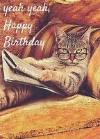 Image result for Funny Cat Birthday Card