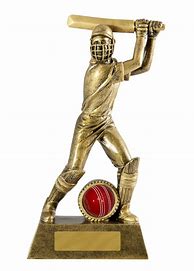 Image result for Cricket Awards and Trophies