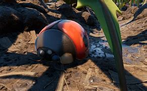 Image result for Grounded Sleeping Ladybug