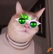 Image result for Meme Cat Diva
