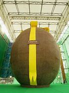 Image result for Biggest Easter Egg in the World