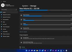 Image result for Storage Manager Windows 11