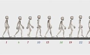 Image result for Character Walk Cycle
