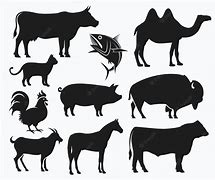 Image result for Silhouette Animal Icons
