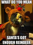 Image result for Funny Christmas Reindeer Memes