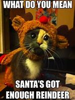 Image result for So Excited Xmas Meme
