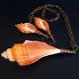 Image result for SeaShell Necklace