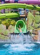Image result for Fun Things to Do in Orlando FL