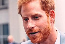 Image result for Prince Harry House USA