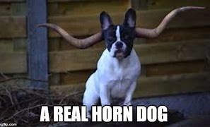 Image result for Horn Dog Meme