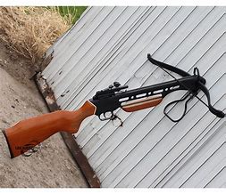 Image result for Bow Gun