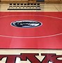 Image result for Wrestling Mat Green and Yellow
