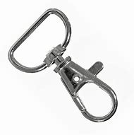 Image result for Snap Hook with Swivel D-Ring