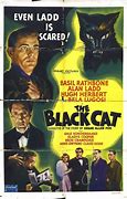 Image result for The Black Cat Movie