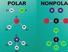 Image result for Scientific Notation That Has an E