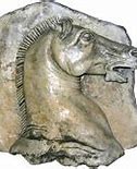 Image result for Ancient Roman Horse