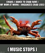 Image result for Crab Rave Meme