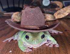 Image result for Cute Frog with Top Hat