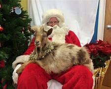Image result for Christmas Goat Meme