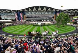 Image result for Ascot Christmas Races